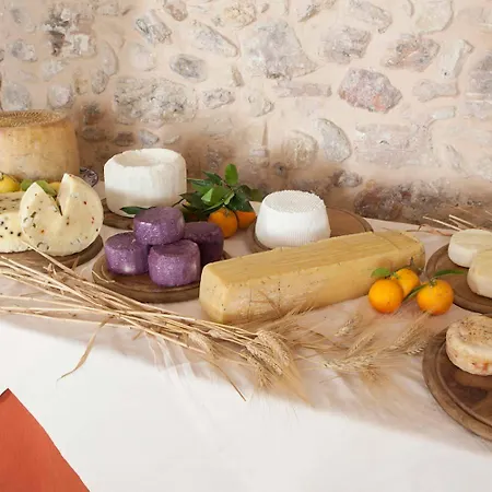 Fattoria Manostalla Villa Chiarelli-2